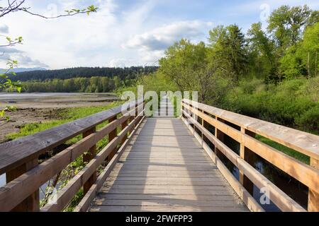 Shoreline Trail, Port Moody, Greater Vancouver, British Columbia, Canada Stock Photo