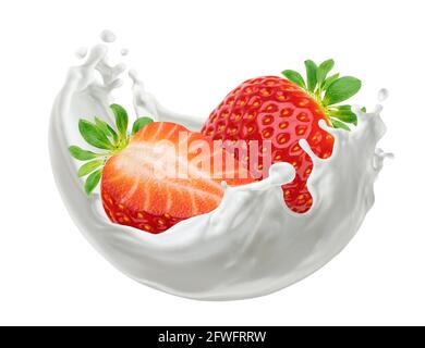 Strawberries with milk splash isolated on white background with clipping path Stock Photo