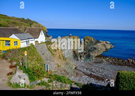 Cadgwith Cove South West Coast Path Lizard Point Cornwall England Stock Photo
