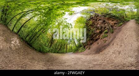 360 degree panoramic view of 360 spherical panorama of Wepre Park woods in summer, Deeside, North Wales