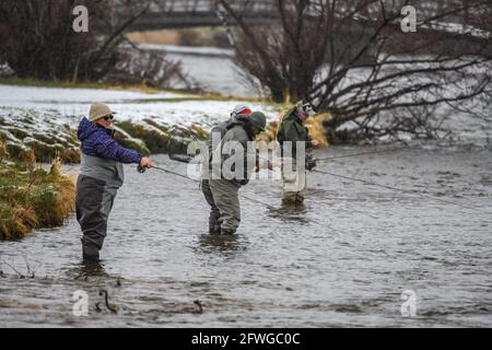 Man and women fly fishing in a river in a snowing day. Estes Park, Colorado, USA. Stock Photo