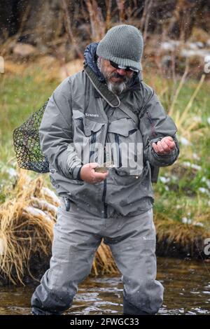 A man fly fishing in snow, caught a rainbow trout. Estes Park, Colorado, USA. Stock Photo