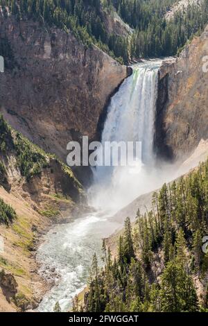 Lower Falls from Lookout Point, Grand Canyon of the Yellowstone, Yellowstone National Park, USA Stock Photo