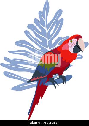 Tropical hand drawn colorful ara parrott with leaf background. Macaw parrot. Vector illustration isolated on white background. Stock Vector