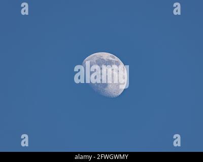 Closeup of waxing gibbous moon during daytime against clear blus sky - Stuttgart, Germany May 22, 2021 Stock Photo