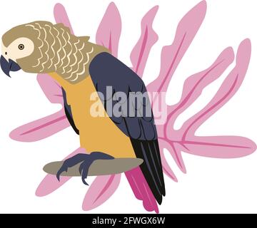 Tropical hand drawn colorful parrot with plants and leaves. Gray parrot. Vector illustration isolated on white background. Stock Vector