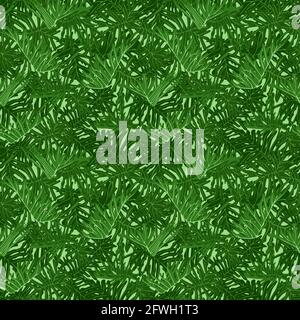 Green tropical foliage seamless pattern with exotic philodedron xanadu leaves. Vector illustration. Stock Vector