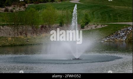 University dog park water  Calgary Alberta Stock Photo