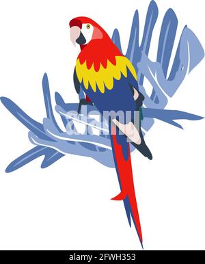 Tropical hand drawn colorful ara parrott with leaf background. Macaw parrot. Vector illustration isolated on white background. Stock Vector