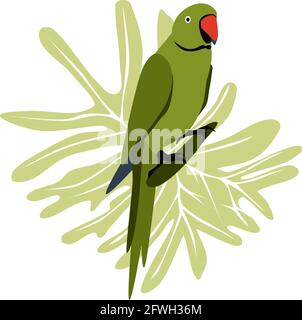 Tropical hand drawn colorful parrott with leaf background. Necklace parrot green plums red beak. Vector illustration isolated on white background. Stock Vector