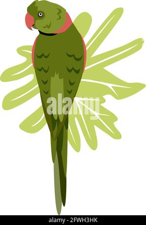 Tropical hand drawn colorful parrott with leaf background. Necklace parrot green plums red beak. Vector illustration isolated on white background. Stock Vector