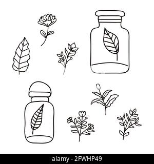 eight floral drawns set icons Stock Vector