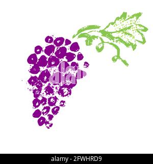 Purple grapes. Grape fruit imprint. Vector illustration Stock Vector