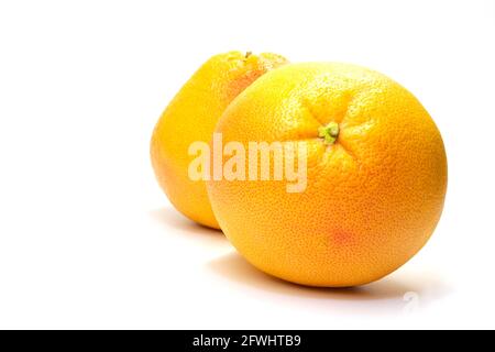 two grapefruits on a white background are located one after the other Stock Photo