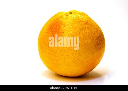 One whole fresh grapefruit on white background Stock Photo