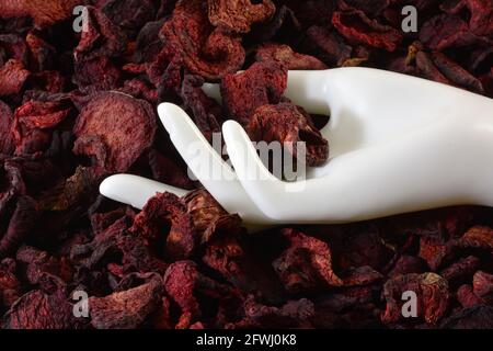 White mannequin hand in the middle of a pile of organic beet chips Stock Photo