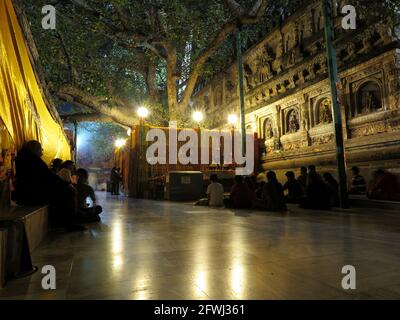 Meditators at the 'Diamond Throne' where the Buddha is said to have attained Enlightenment under the Bodhi Tree, MahaBodhi Temple, Bodhgaya, Nov 2017 Stock Photo