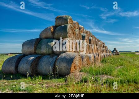 The straw bales are stacked in a large pile. Stock Photo