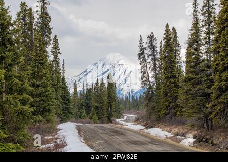 Dirt back road trail in northern Canada during spring time with snow capped mountain in background and boreal forest. Stock Photo