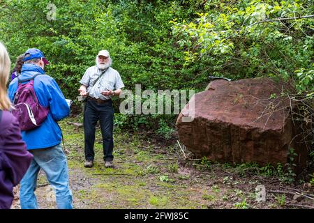 Forest of Dean Pennant stone shows the red iron ore surface staining. Bixslade Geology Walk. Stock Photo