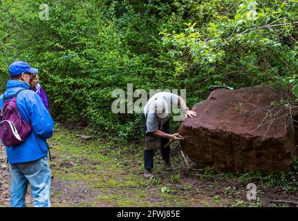 Forest of Dean Pennant stone shows the red iron ore surface staining. Bixslade Geology Walk. Stock Photo