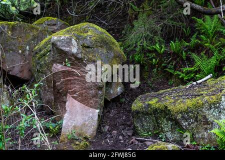 Forest of Dean Pennant stone shows the red iron ore surface staining. Bixslade Geology Walk. Stock Photo