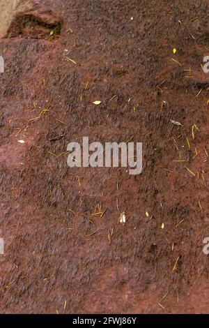 Forest of Dean Pennant stone shows the red iron ore surface staining. Bixslade Geology Walk. Stock Photo