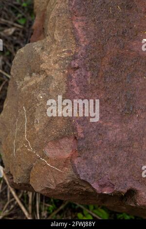 Forest of Dean Pennant stone shows the red iron ore surface staining. Bixslade Geology Walk. Stock Photo