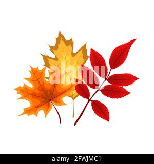 Autumn Falling Leaves Icon Isolated on White Background. Vector Illustration Stock Vector