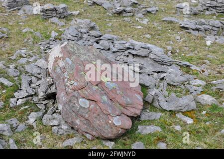 Carboniferous limestone outcrop with a lichen covered old red sandstone boulder on the mountain above Dan-yr-Ogof caves in the Black Mountains,South W Stock Photo