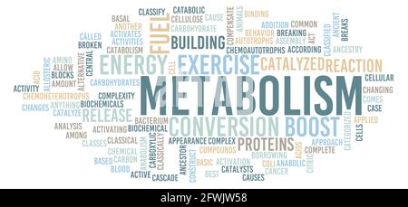 Metabolism in Your Body Chemical Reaction Concept Stock Photo