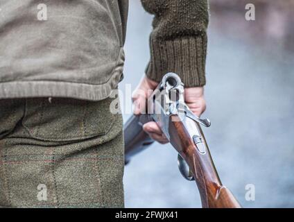 Pheasant shooting man, carrying shotgun Stock Photo