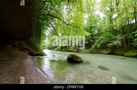 Scenic view of a river in the forest Stock Photo