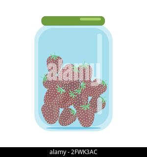 Glass jar closed with a lid filled with dried strawberries, blanks of dried fruits, vector illustration in flat style, isolate, cartoon Stock Vector