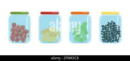 Glass jars closed with lids filled with dried slices of lemons and oranges, black currants and strawberries, dried fruit blanks, vector illustration Stock Vector