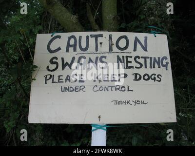 Caution swans nesting dog sign. Helford Passage village. South west coast path. Lizard peninsula. Cornwall. West country. England. UK