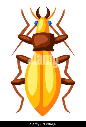 Illustration of colorful beetle. Stylized decorative insect. Stock Vector