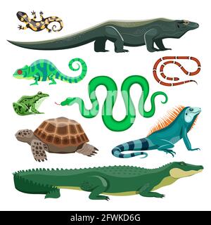 Reptiles and amphibians. Lizard, crocodile and turtle, snake and iguana, salamander and frog, chameleon. Terrarium pet reptile, pond animals vector set. Tropical or wildlife natural fauna characters Stock Vector