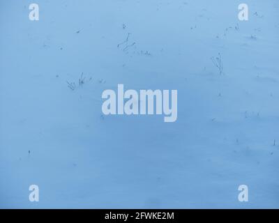 pure white snow: abstract background Stock Photo