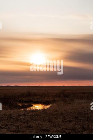 An orange and purple sunset reflecting on a puddle of water in an agricultural summertime landscape Stock Photo