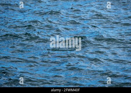 Blue wavy rippling lake water Stock Photo