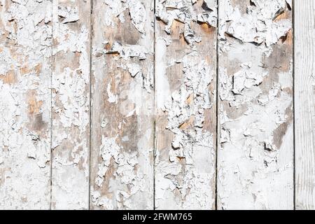 White wooden background. Graphic resources Stock Photo