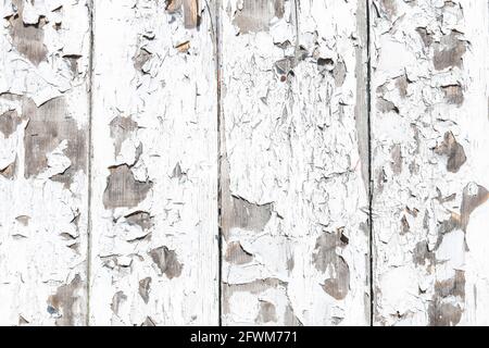 White wooden background. Graphic resources Stock Photo