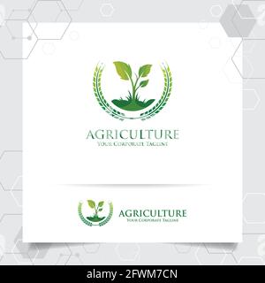 Agriculture logo design with concept of grain icon and plant leaves vector. Green nature logo used for agricultural systems, farmer, and plantation pr Stock Vector