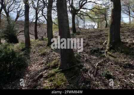 The Quantock Hills near Holford, Somerset, UK Stock Photo