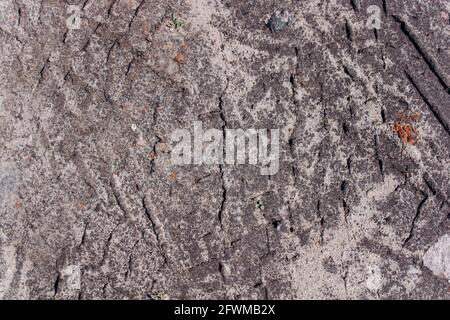 Abstract grunge concrete gray uneven texture. Promotional loose gray wallpaper with space.  Stock Photo