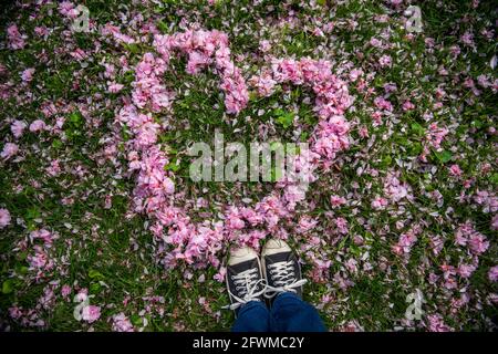 Young woman's legs and feet standing in heart shape created from pink cherry blossom petals. Grass in middle. Empty place for positive text, quote or Stock Photo