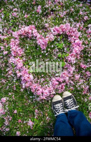 Young woman's legs and feet standing in heart shape created from pink cherry blossom petals. Grass in middle. Empty place for positive text, quote or Stock Photo