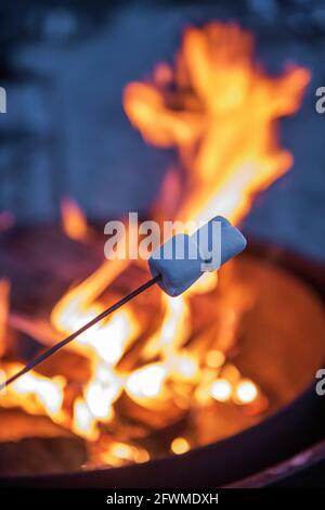 Roasting marshmallows at the fire pit while camping. Stock Photo