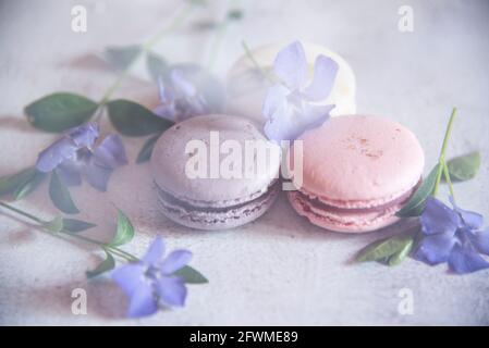Several macaroons lie on the table decorated with flowers. Food backgrounds, copy space for text, design.The photo is in a light haze, made through a Stock Photo